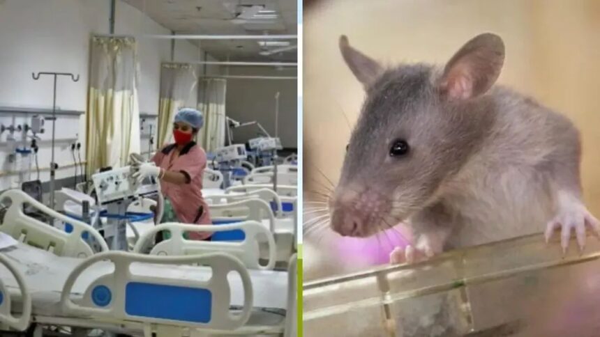 NMCH Patna